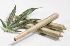 1g Ice Pie Pre-Roll (H) 26.8%