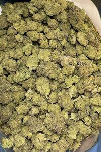 28g Budget Kush Mints 24.3% (I)